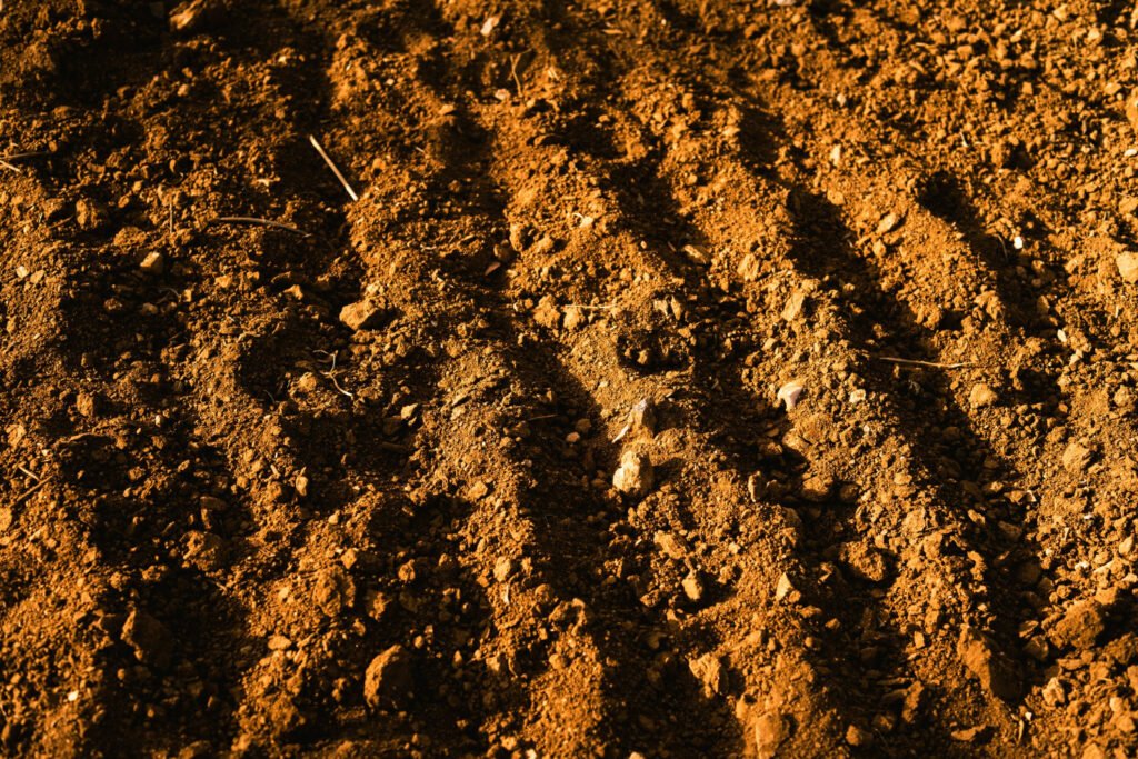Soil Compaction
