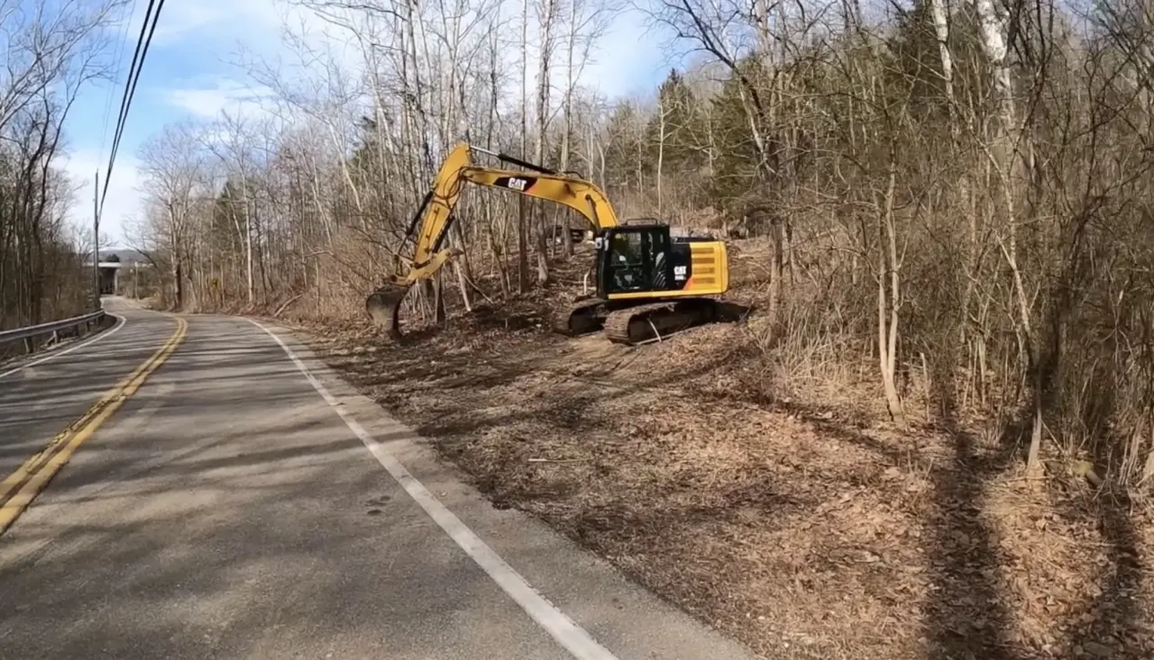 Clearing beside a roadway