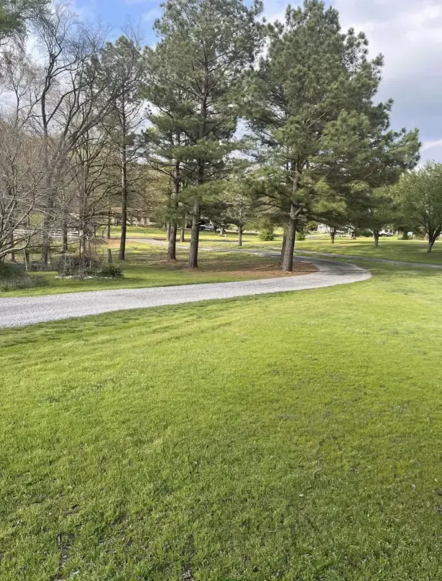 After — driveway regrading and repair