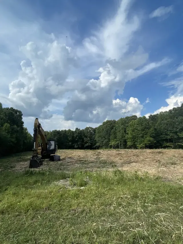 After — forestry mulching and grubbing