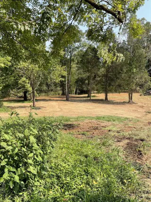 Property regrading after flood cleanup