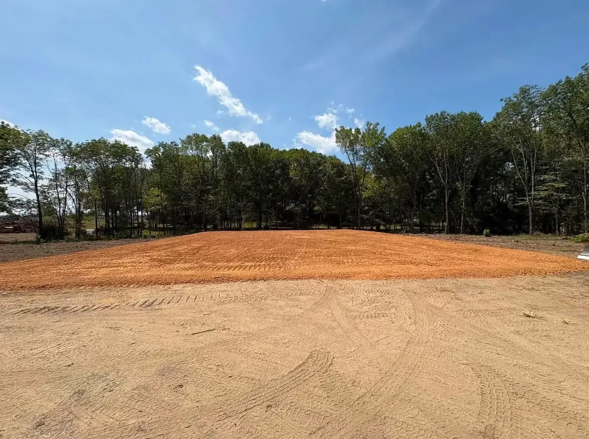 Prepared soil building area bordered by trees